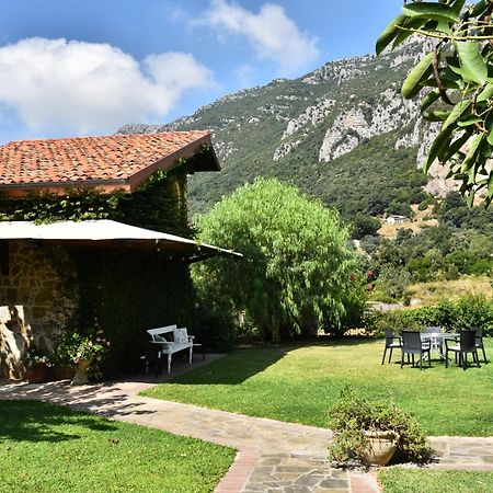 Country House Felicia Giungano Exteriér fotografie